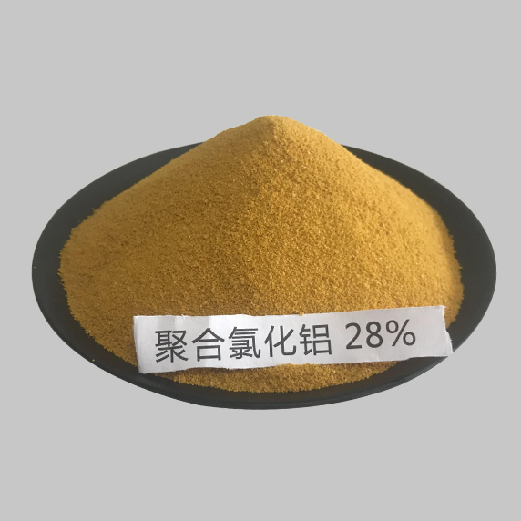 28%ۺȻ