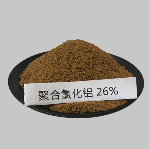 26%ۺȻ